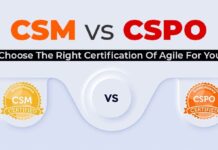 CSM & CSPO in action: bridging teams across the US., India & Ukraine CSM-Vs-CSPO